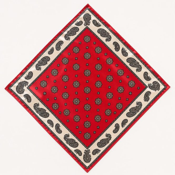 Hovedbilde Paisley Silk Scarf
