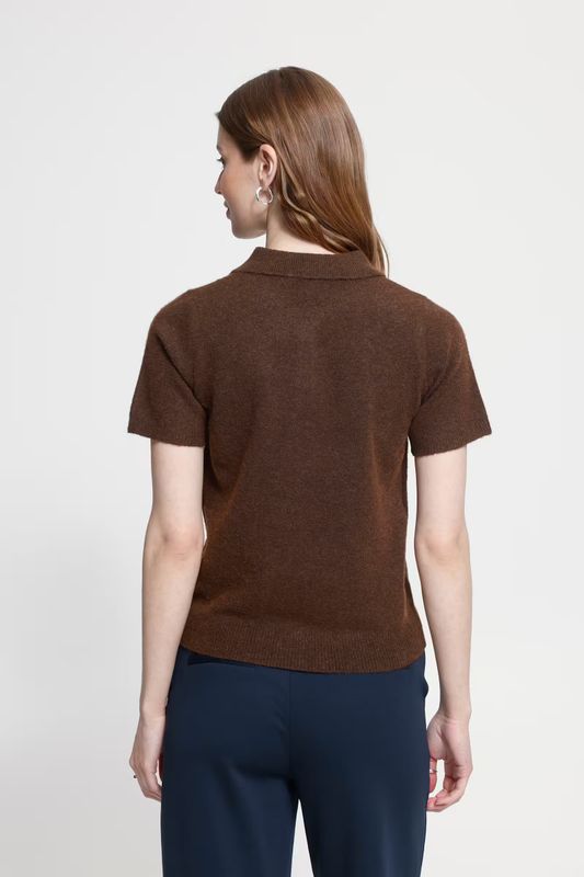 Dasila Polo Ichi